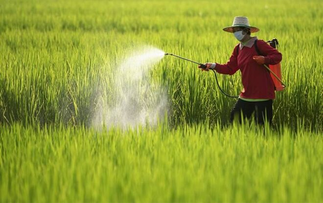 Global Pesticides Market Share, Size, Growth, Trends, Analysis, and Forecast