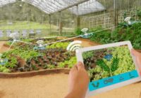 Global Smart Plantation Management Systems Market Share, Size , Trends, Analysis, Growth and Forecast