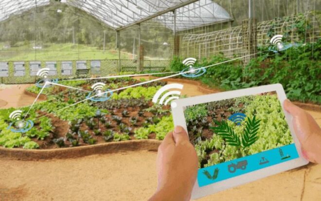 Global Smart Plantation Management Systems Market Share, Size , Trends, Analysis, Growth and Forecast