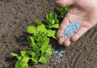 Global Sulphur Fertilizers Market Share, Size, Trends, Growth, Analysis and Forecast