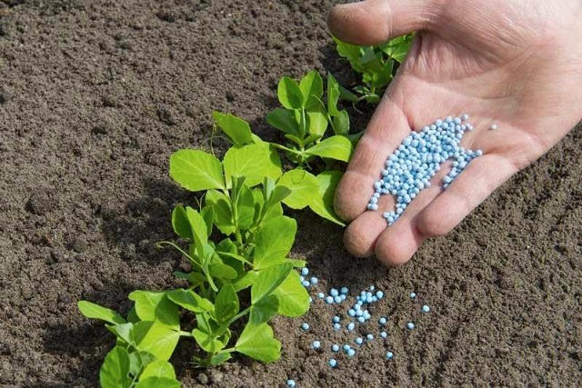 Global Sulphur Fertilizers Market Share, Size, Trends, Growth, Analysis and Forecast