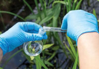India Environmental Testing Market Share, Size, Growth, Trends, Analysis, and Forecast
