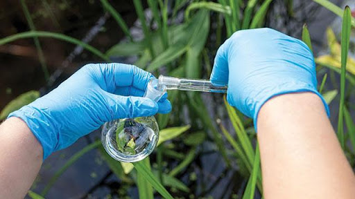 India Environmental Testing Market Share, Size, Growth, Trends, Analysis, and Forecast