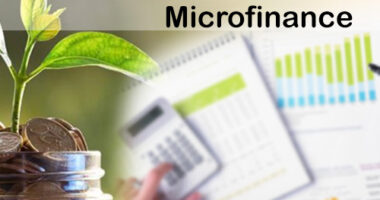 India Microfinance Market Size, Share, Analysis, Growth, Opportunity and Forecast