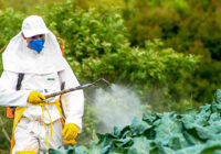 India Pesticide Market Share, Size, Growth, Trends, Analysis, and Forecast