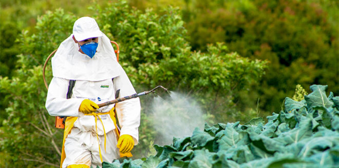 India Pesticide Market Share, Size, Growth, Trends, Analysis, and Forecast