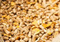 Middle East & Africa Animal Feed Additive Market Share, Size, Growth, Trends, Analysis, and Forecast