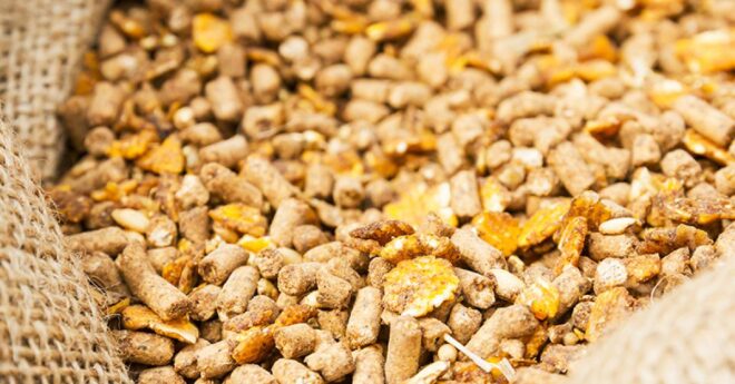 Middle East & Africa Animal Feed Additive Market Share, Size, Growth, Trends, Analysis, and Forecast