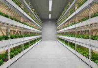 North America Vertical Farming Market Share, Size , Trends, Analysis, Growth and Forecast_2_11zon