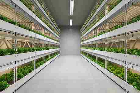 North America Vertical Farming Market Share, Size , Trends, Analysis, Growth and Forecast_2_11zon