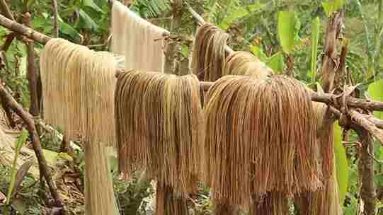 Philippines Abaca Fiber Market Share, Size , Trends, Analysis, Growth and Forecast_3_11zon