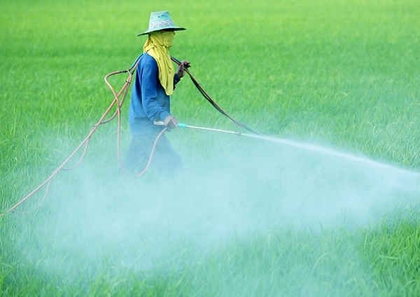 Saudi Arabia Pesticide Residue Testing Market Share, Size, Growth, Trends, Analysis, and Forecast