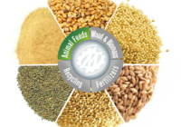 South America Animal Feed Additive Market Share, Size, Trends, Growth, Analysis and Forecast