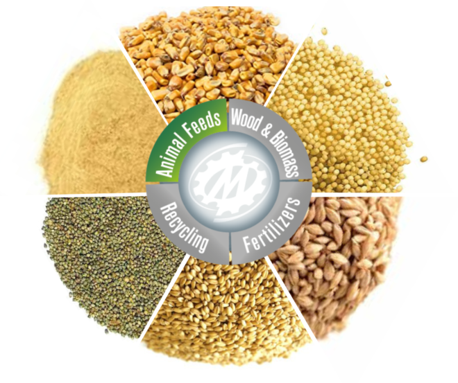 South America Animal Feed Additive Market Share, Size, Trends, Growth, Analysis and Forecast