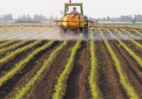 UAE Pesticide Residue Testing Market Share, Size, Growth, Trends, Analysis, and Forecast