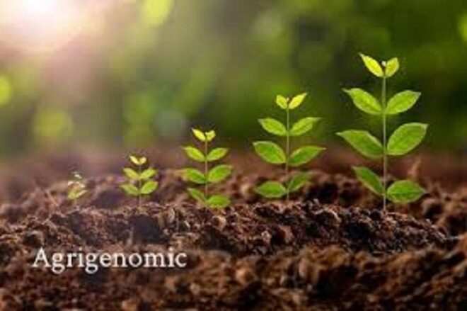 Agrigenomics Market Analysis, Growth, Share, Trends, Size and Forecast