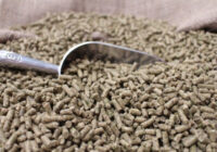Asia-Pacific Animal Feed Additive Market Analysis, Opportunities, Growth, Size, Share and Forecast