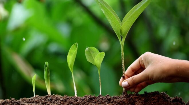 China Plant Growth Regulators Market Analysis, Growth, Share, Trends, Size and Forecast