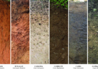 Digital Soil Mapping Market Analysis, Growth, Share, Size, Trends and Forecast