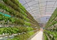 Global Aeroponics Market Analysis, Opportunity, Growth, Size, Share, Trends and Forecast