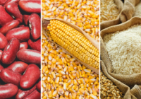 Global Agricultural Commodities Market Analysis, Opportunity, Share, Size, Growth, Trends and Forecast