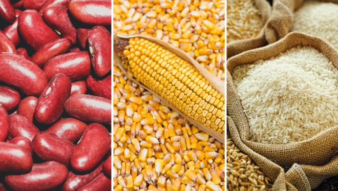 Global Agricultural Commodities Market Analysis, Opportunity, Share, Size, Growth, Trends and Forecast