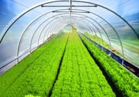 Global Agricultural Films Market Analysis, Growth, Opportunity, Size, Share, and forecast