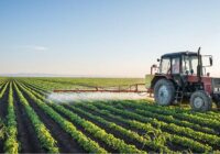 Global Agricultural Fumigants Market Analysis, Growth, Share, Size, Trends and Forecast