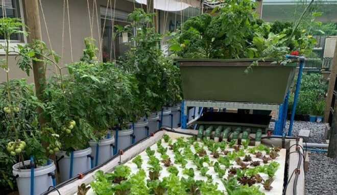 Global Aquaponics Market Analysis, Opportunities, Growth, Size, Share and Forecast