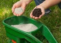 Global Complex Fertilizers Market Analysis, Growth, Opportunity, Size, Share, and forecast