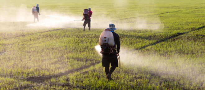 Global Crop Protection Chemicals Market Analysis, Opportunities, Share, Growth, Size and Forecast