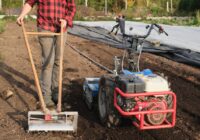 Global Gardening Equipment Market Analysis, Growth, Share, Size, Trends and Forecast