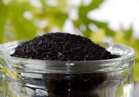 Global Humic Acid Market Analysis, Opportunities, Growth, Size, Share and Forecast