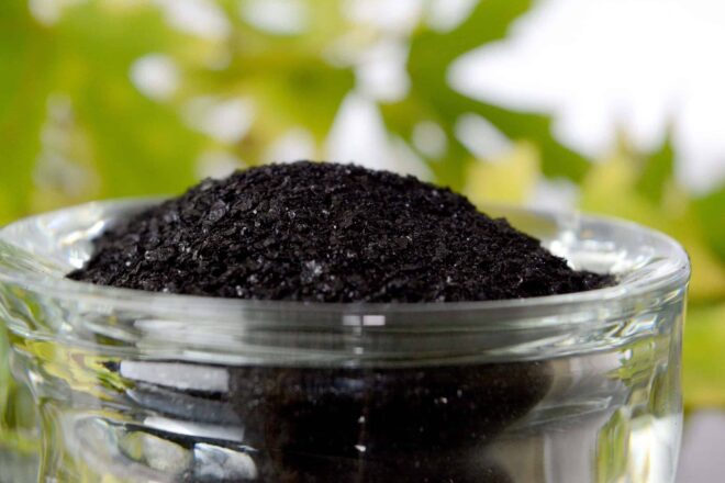 Global Humic Acid Market Analysis, Opportunities, Growth, Size, Share and Forecast