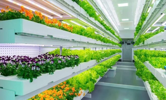 Global Indoor Farming Market Analysis, Growth, Share, Size, Trends and Forecast