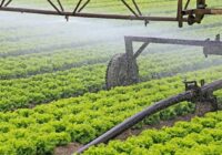 Global Irrigation Automation Market Analysis, Growth, Share, Size, Trends and Forecast