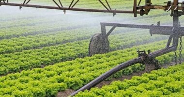 Global Irrigation Automation Market Analysis, Growth, Share, Size, Trends and Forecast