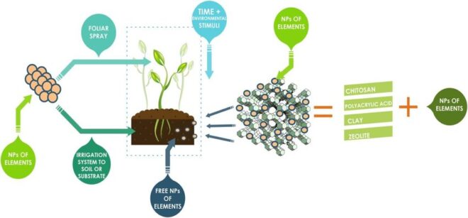 Global Nano Fertilizers Market Analysis, Growth, Share, Size, Trends and Forecast