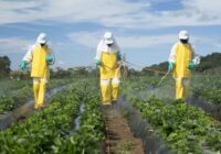 Global Pesticide Residue Testing Market Analysis, Opportunity, Growth, Size, Share, Trends and Forecast