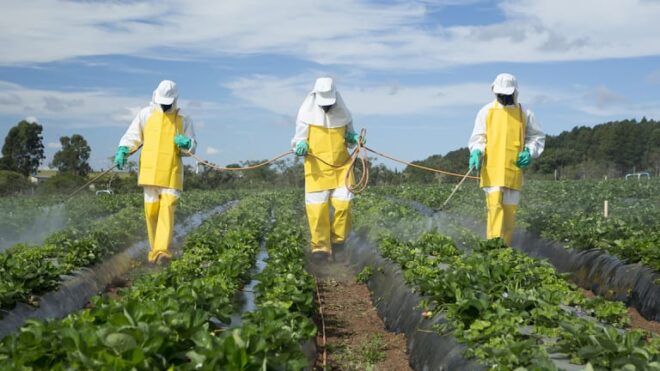 Global Pesticide Residue Testing Market Analysis, Opportunity, Growth, Size, Share, Trends and Forecast