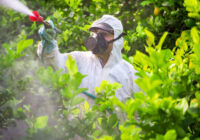 Global Pesticides Market Analysis, Growth, Opportunity, Size, Share, and forecast