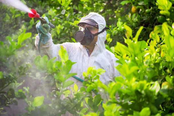Global Pesticides Market Analysis, Growth, Opportunity, Size, Share, and forecast