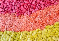 Global Seed Coating Market Analysis, Growth, Share, Size, Trends and Forecast