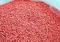 Global Seed Treatment Fungicides Market Analysis, Growth, Share, Size, Trends & Forecast
