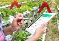 Global Smart Plantation Management Systems Market Analysis, Opportunities, Share, Growth, Size and Forecast