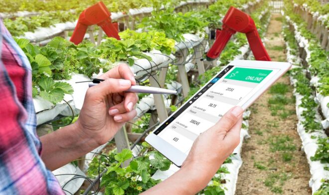 Global Smart Plantation Management Systems Market Analysis, Opportunities, Share, Growth, Size and Forecast