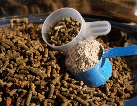 India Animal Feed Supplements Market Analysis, Growth, Share, Trends, Size and Forecast
