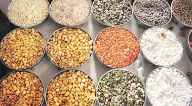India Grain Analysis Market Analysis, Growth, Share, Trends, Size and Forecast