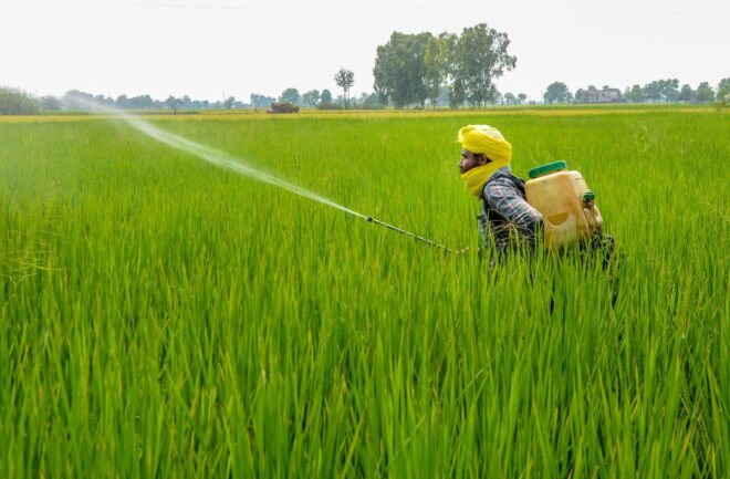 India Pesticide Market Analysis, Opportunities, Growth, Trends, Share, Size and Forecast