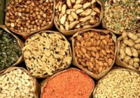 India Seed Market Analysis, Growth, Share, Size, Trends & Forecast